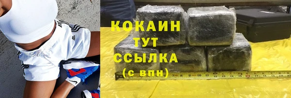 СК Бронницы