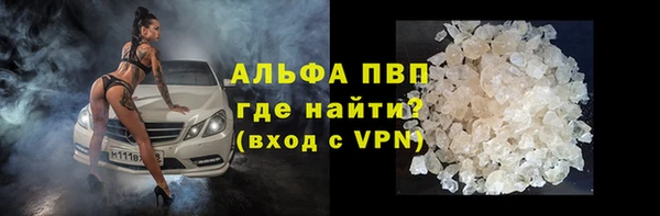 СК Бронницы