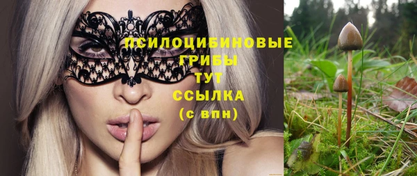 винт Бородино