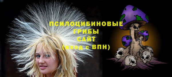 СК Бронницы