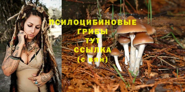 ECSTASY Бугульма