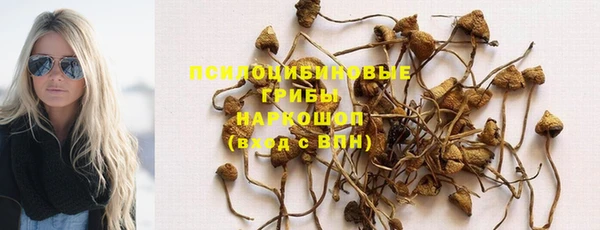 винт Бородино