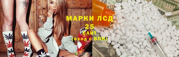 винт Бородино